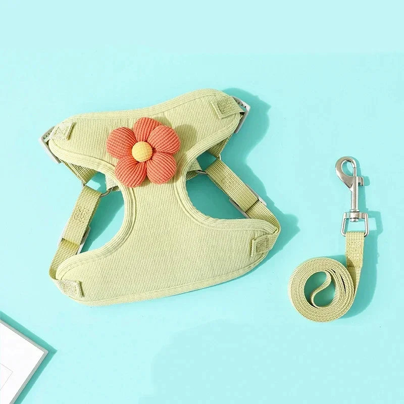 Dog harness with a flower and leash on a light blue background