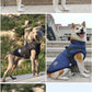 Collage of dogs wearing colorful life vests in various outdoor settings.