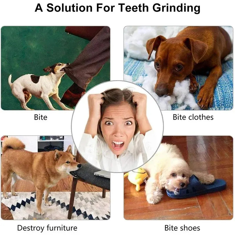 Cartoon illustration of a solution for teeth grinding with images of dogs and a person.