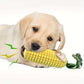 Puppy playing with a corn-shaped dog toy on a white background