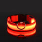Red LED dog collar on a black background