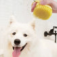 White dog being bathed with a yellow pet grooming brush, with text indicating the buckle design is not easy to remove.
