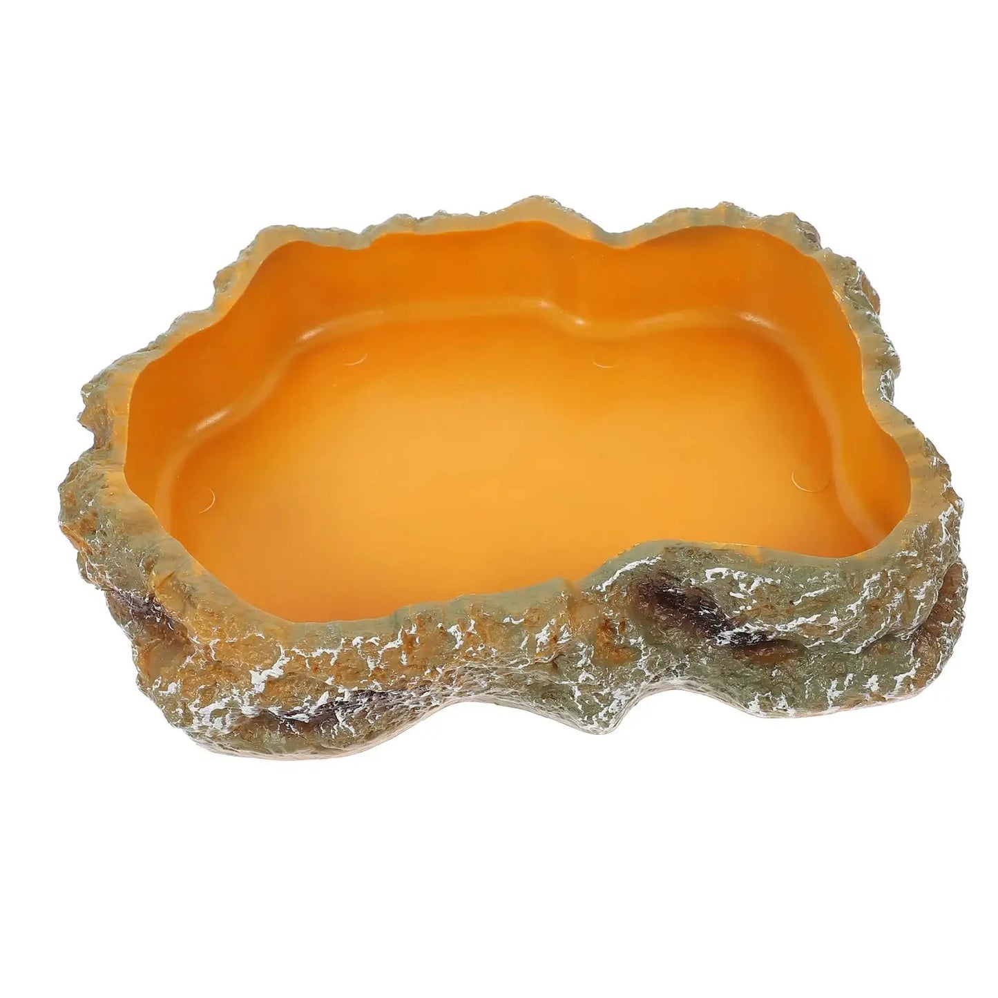 Reptile Water Bowls Decorative Terrarium Habitat Decoration Resin Feeding Bowl for Frog Tortoise Turtle Leopard Gecko