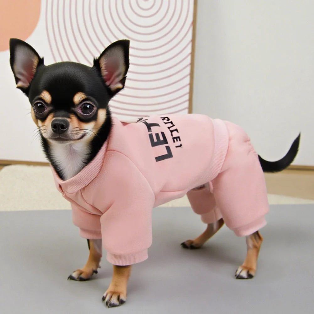 Small dog wearing a pink hoodie with text on a light background
