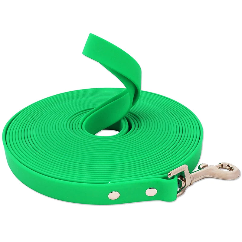Green dog leash with a metal clip on a white background