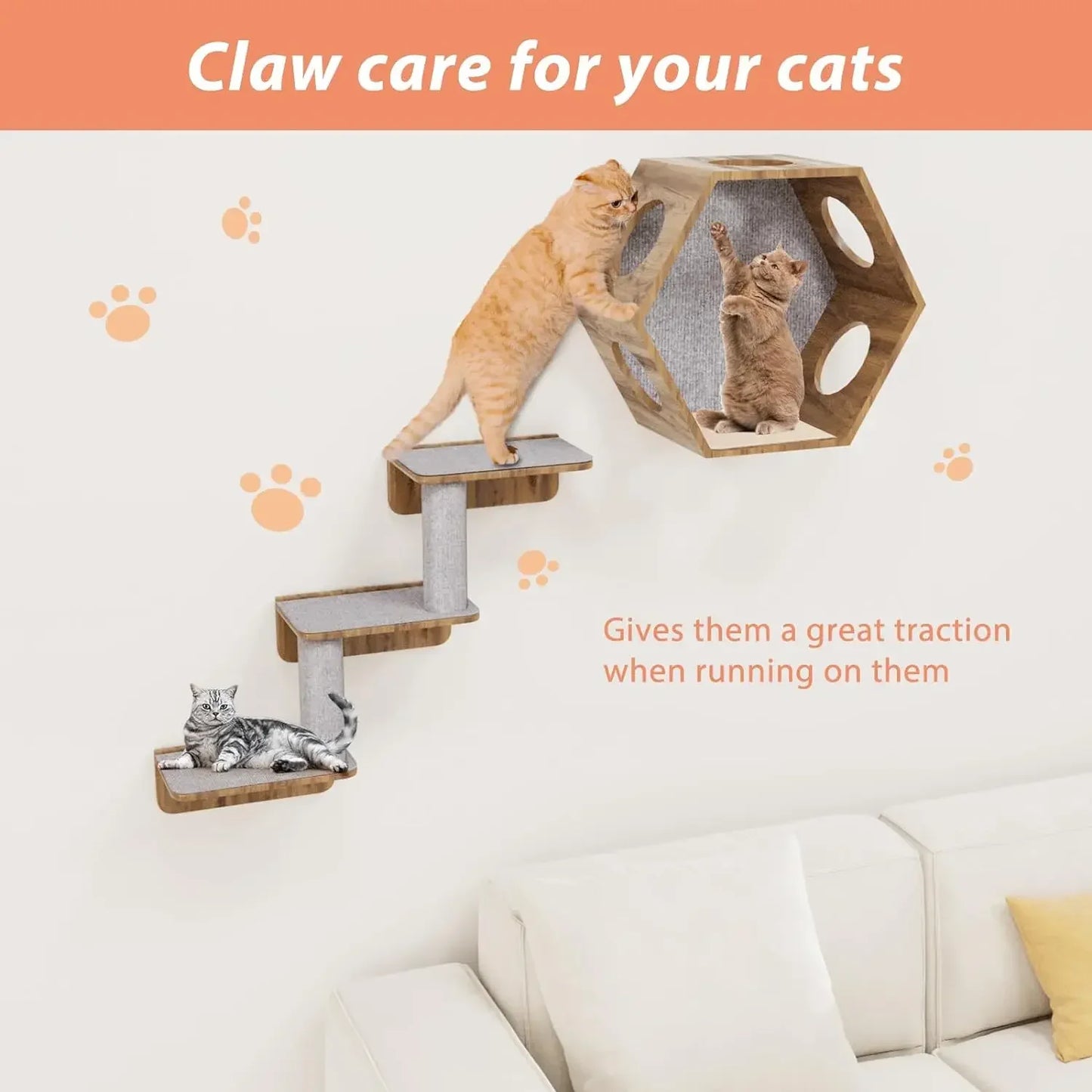 Cat climbing wall with text about claw care for cats