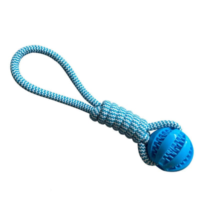 Blue dog toy with a rope and ball on a white background