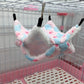 Colorful pet hammock hanging inside a pet cage