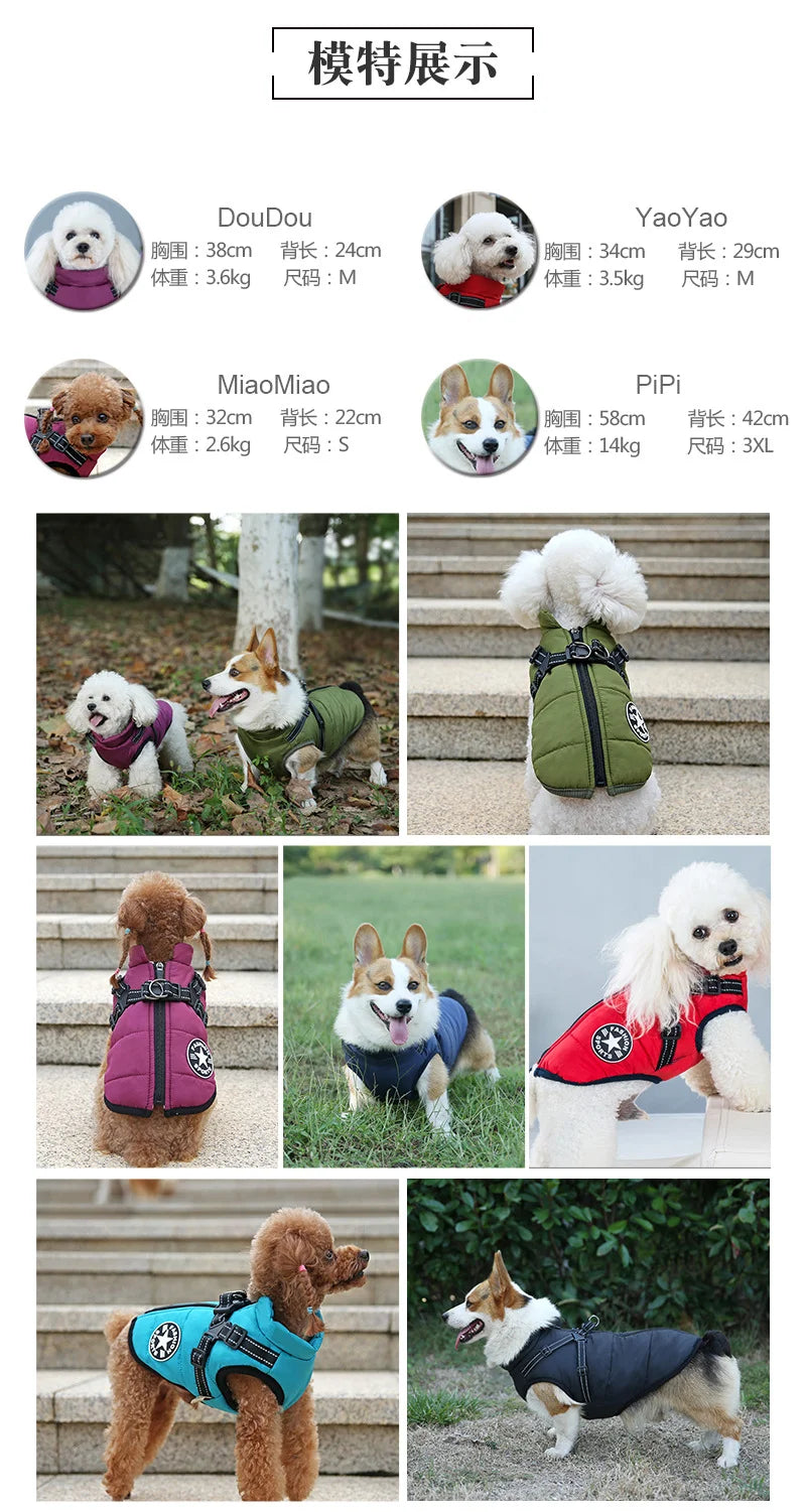 Collage of dogs wearing various jackets with product details and model information.