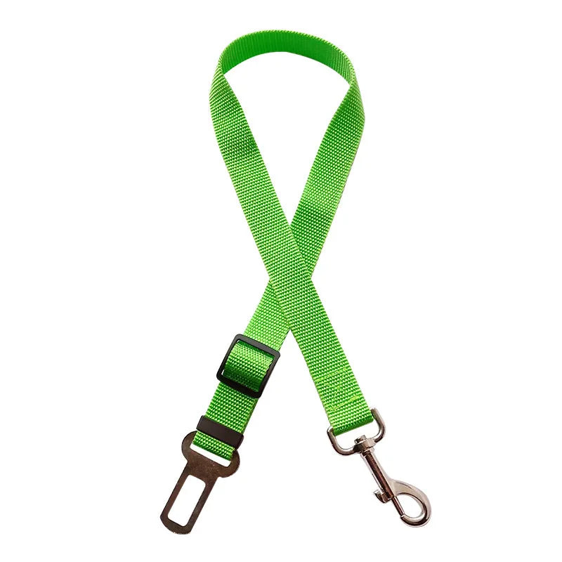Green dog leash with clip on a white background
