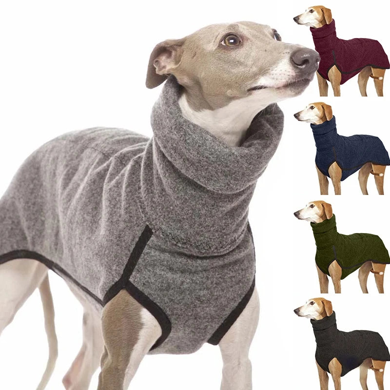 Dog wearing a gray sweater with additional dogs in various sweaters on a white background