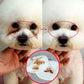 Close-up of a dog's face with a hand holding it, showing a before and after effect on a white background.