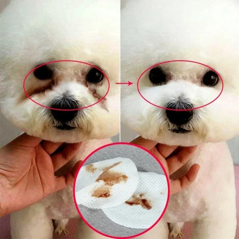 Close-up of a dog's face with a hand holding it, showing a before and after effect on a white background.