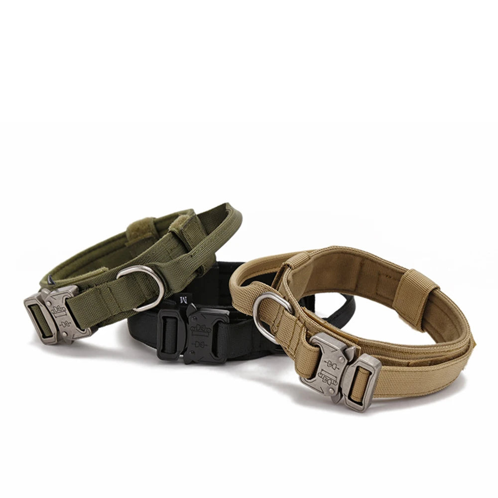 Three dog collars in green, black, and brown on a white background