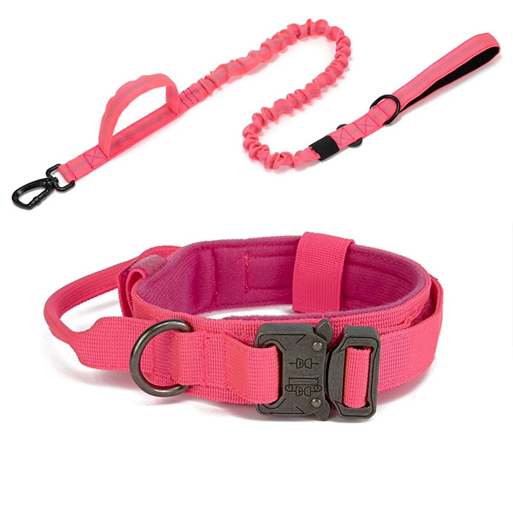 Pink dog collar and leash set on a white background