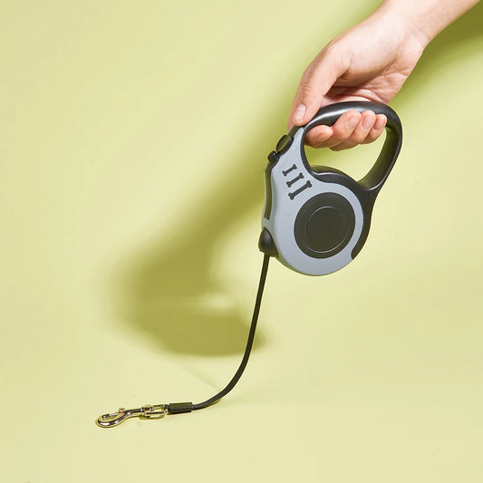 Retractable dog leash held by a hand on a light green background