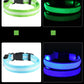 Collars in green, blue, and purple glowing in the dark.