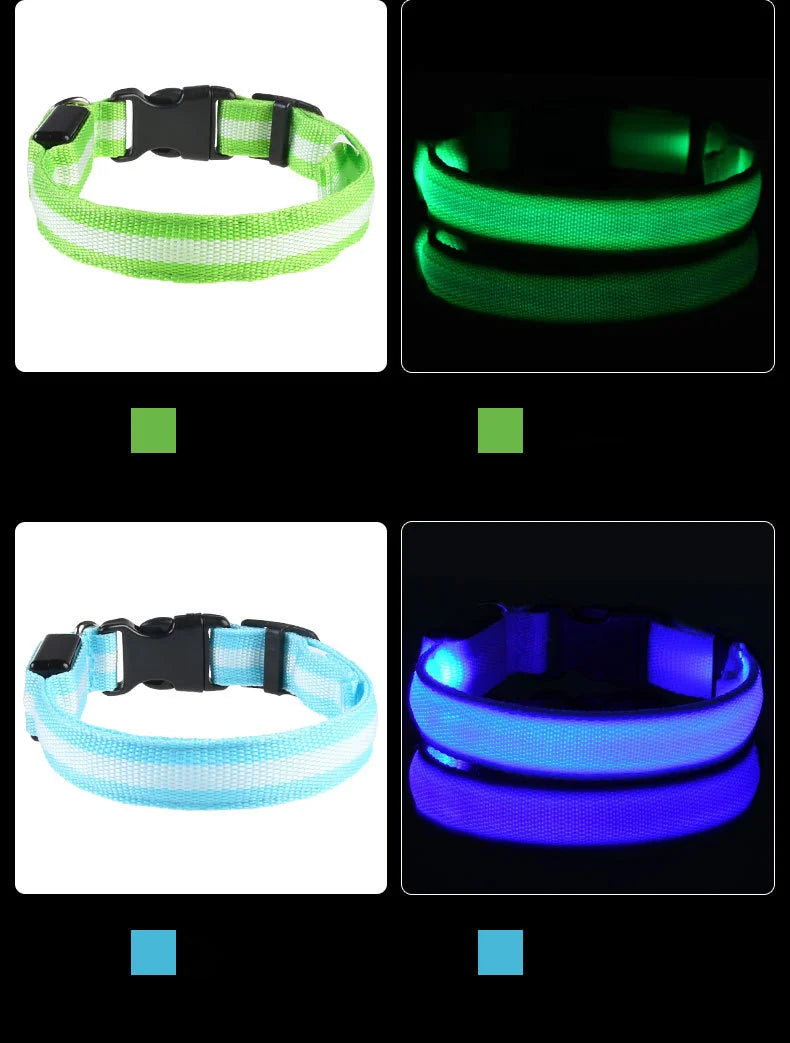 Collars in green, blue, and purple glowing in the dark.