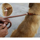 Brown dog leash being held by a person with a close-up of the leash attachment on a dog's collar.