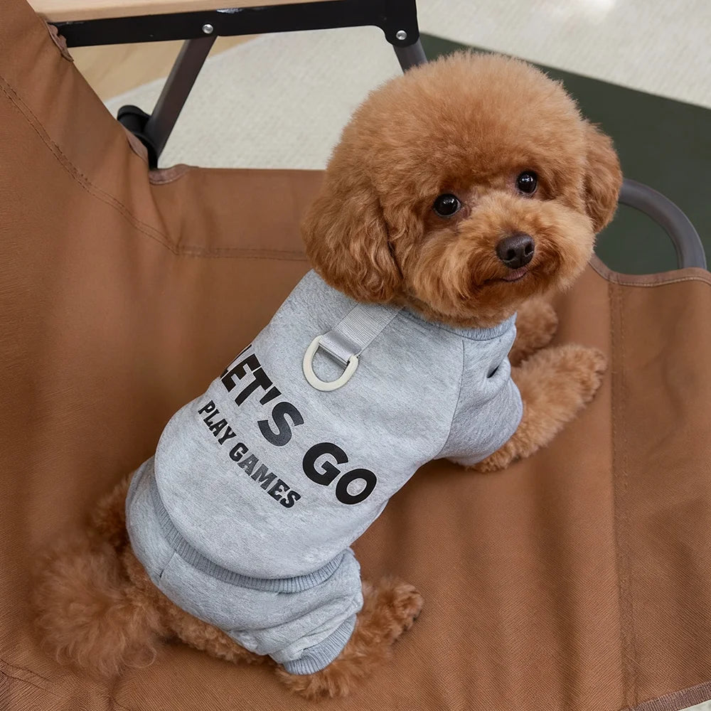 Small dog wearing a gray sweater with text, sitting on a brown chair.