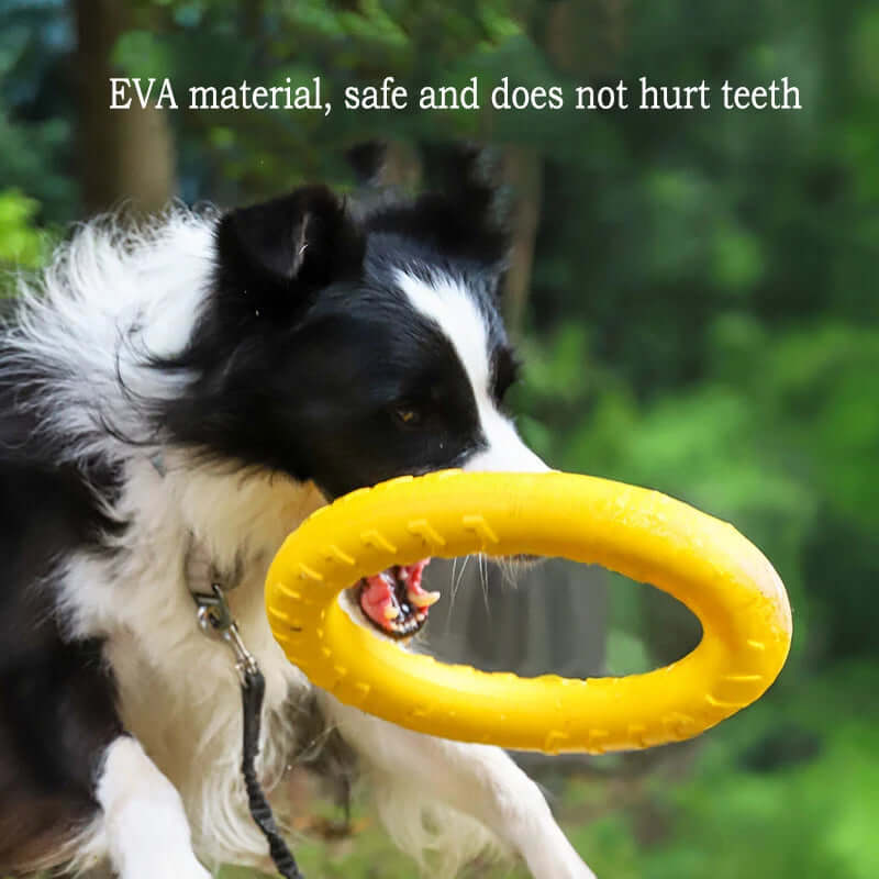 Dog playing with a yellow EVA material toy outdoors
