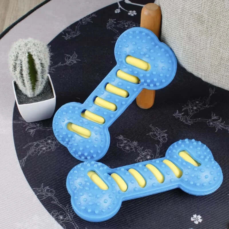 Blue and yellow dog toy shaped like a bone on a dark surface with a plant in the background.
