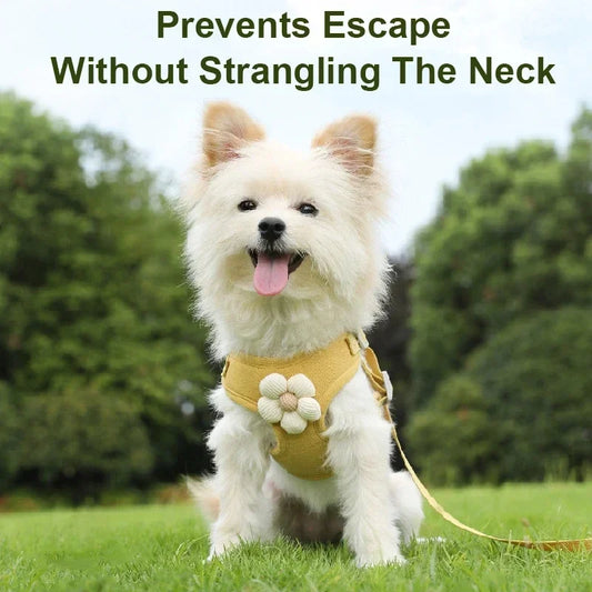 Dog wearing a yellow harness with text 'Prevents Escape Without Strangling The Neck' in an outdoor setting.