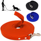 Orange dog leash with metal clip, black leash with metal clip, and blue leash with metal clip on a white background.