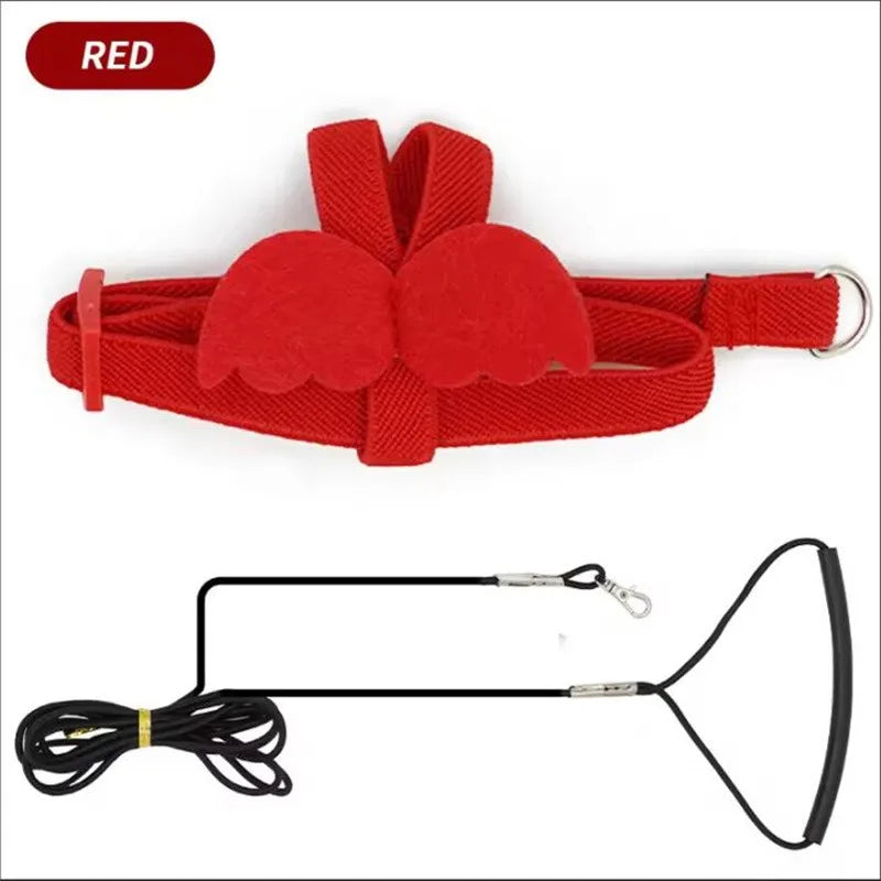 Red dog muzzle and leash set on a white background