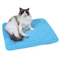 Cat sitting on a blue cooling pad with a white background