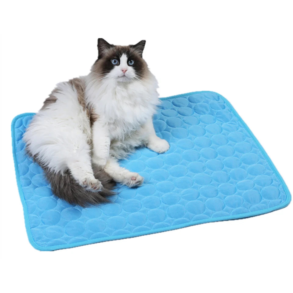 Cat sitting on a blue cooling pad with a white background