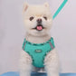 Small white dog wearing a teal harness with a visible brand logo on a light gray background