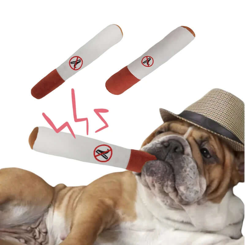 Dog wearing a hat with a no-smoking sign and smoke graphic, with two no-smoking signs above.