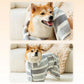 Dog wearing a striped robe on a cozy sofa with soft textures