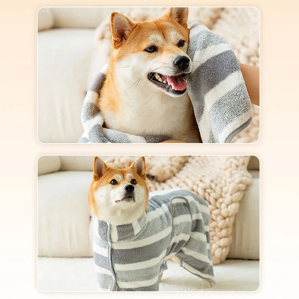 Dog wearing a striped robe on a cozy sofa with soft textures