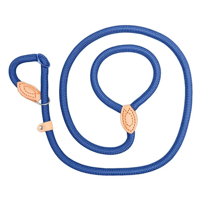 Blue dog leash with rose gold hardware on a white background