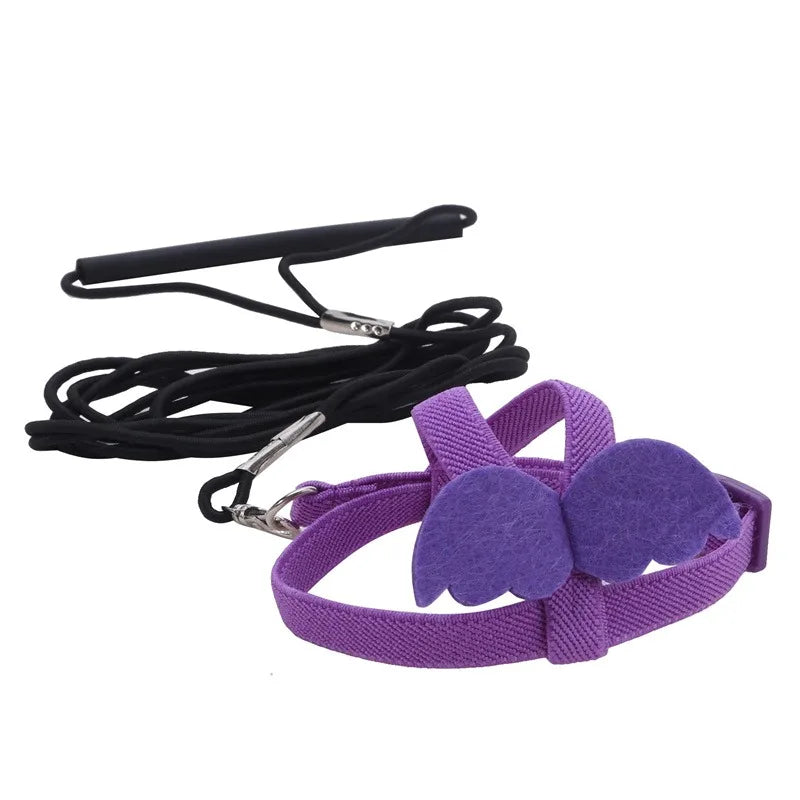 Purple dog muzzle with black leash on a white background