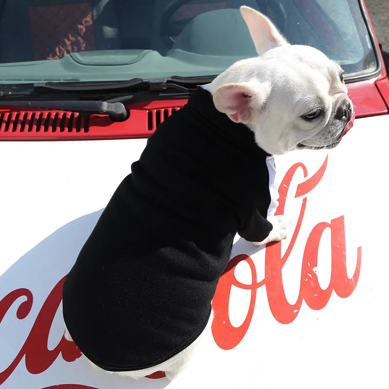 Dog wearing a black sweater sitting on a Coca-Cola branded car.