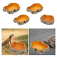 Reptile Water Bowls Decorative Terrarium Habitat Decoration Resin Feeding Bowl for Frog Tortoise Turtle Leopard Gecko