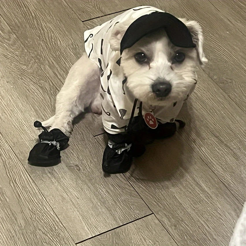 Dog wearing a Dalmatian costume with a black hat on a wooden floor.
