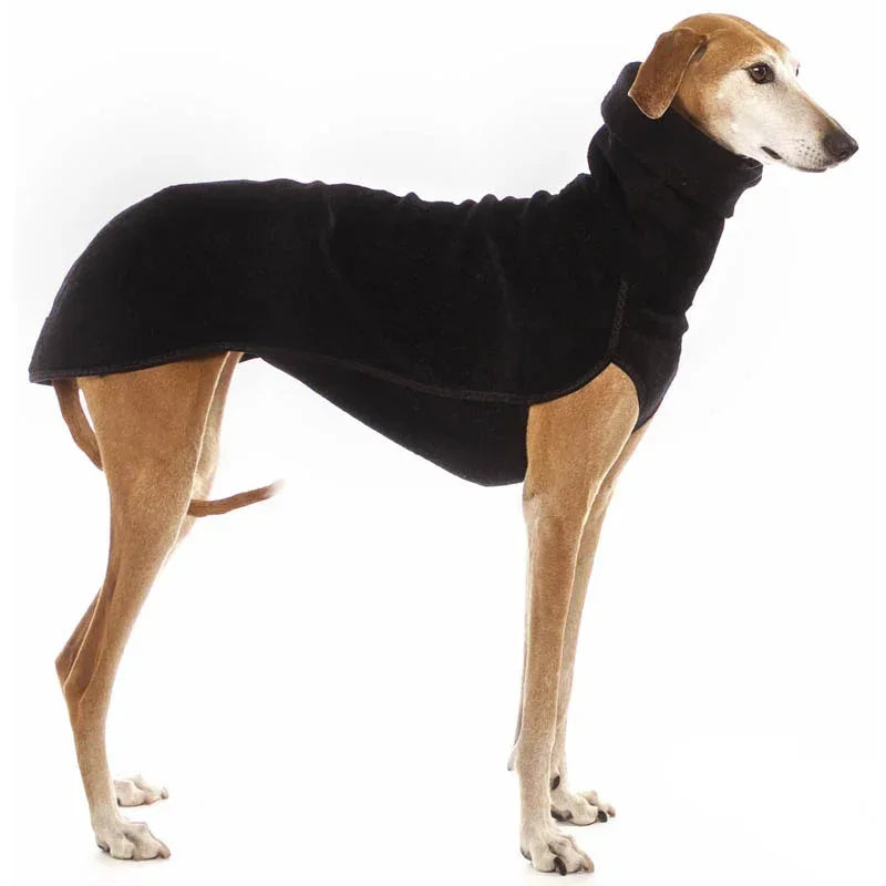 Dog wearing a black fleece coat on a white background