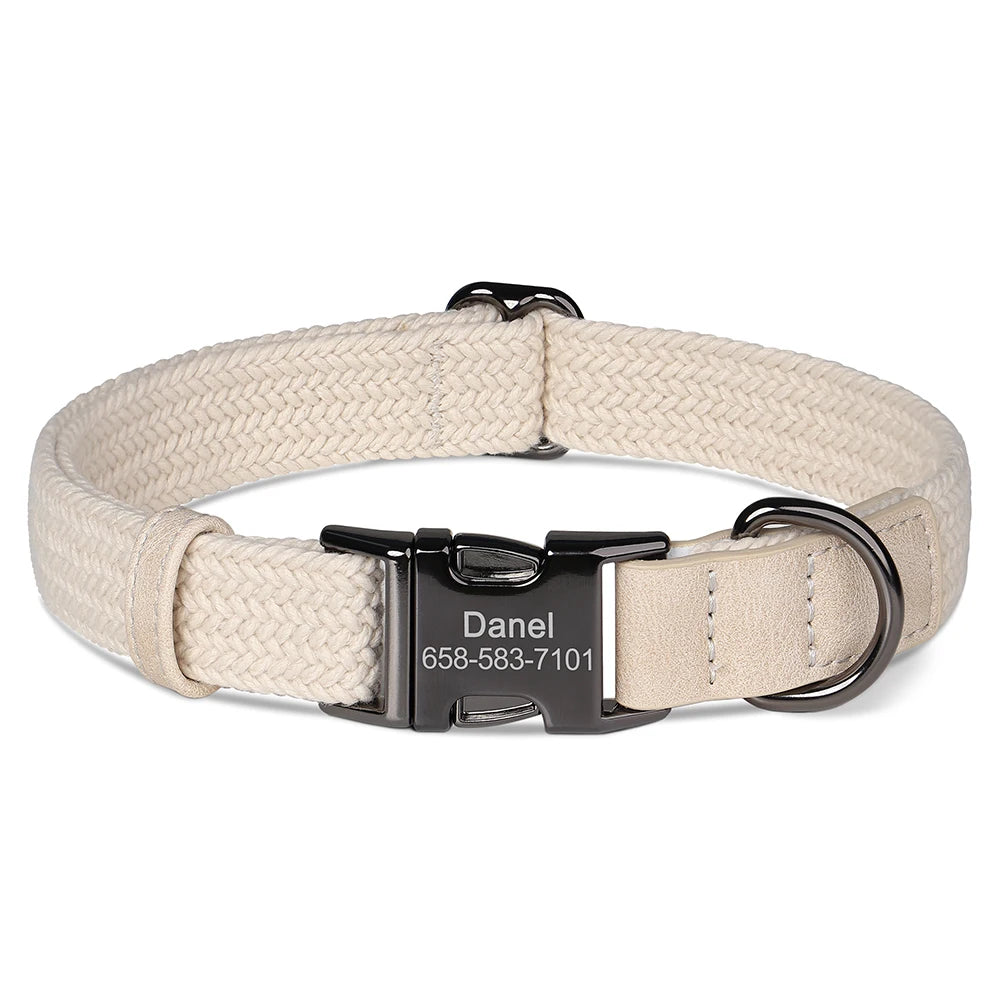 Beige dog collar with a black engraved nameplate on a white background