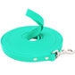 Turquoise dog leash with a metal clip on a white background