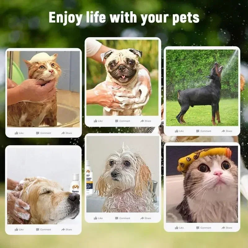 Collage of pets being bathed with text 'Enjoy life with your pets' on a blurred green background.