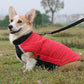 Dog wearing a red and black puffer vest sitting on grass