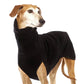 Dog wearing a black sweater on a white background
