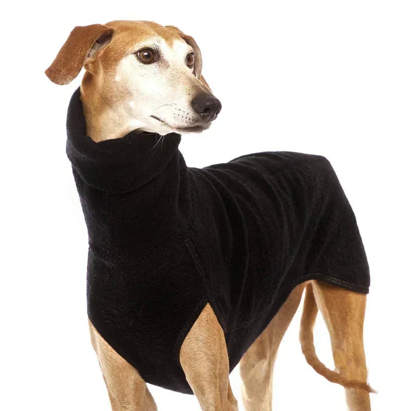 Dog wearing a black sweater on a white background