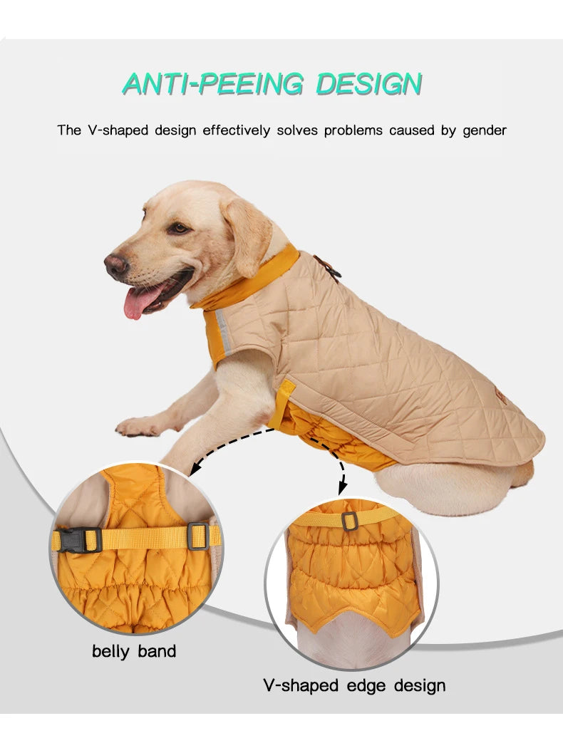 Dog wearing a beige and orange anti-peeing design product with text explaining its features.
