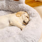 Dog sleeping in a fluffy white pet bed with a soft toy in the background.