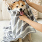 Dog wrapped in a striped towel being held by a person in a cozy indoor setting